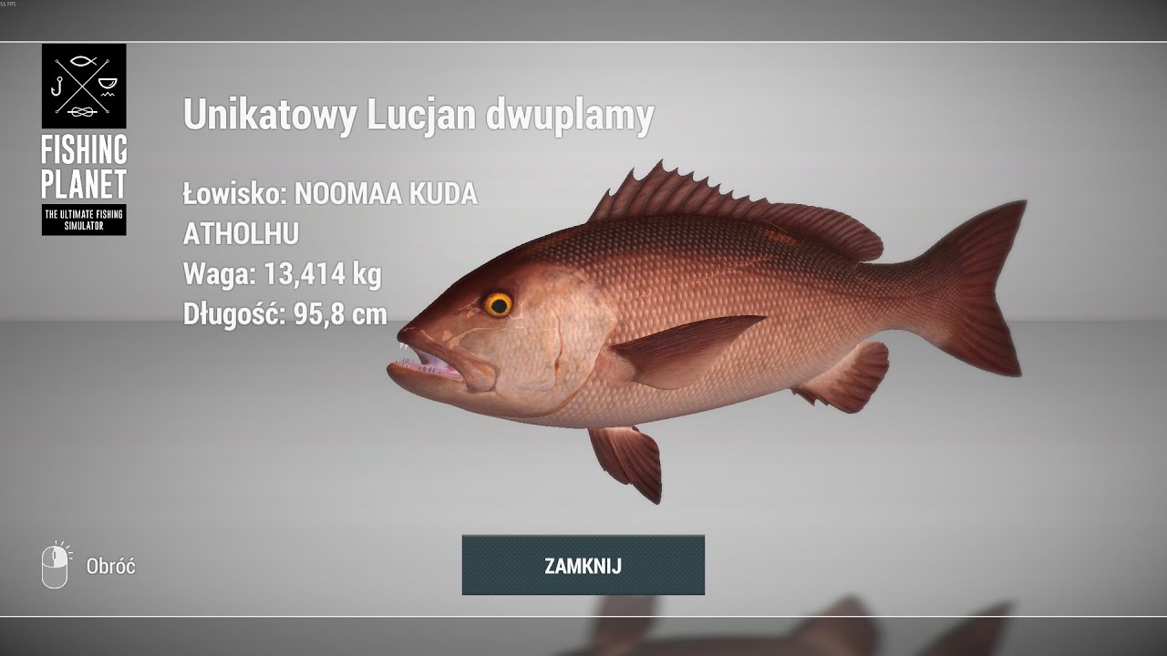 Fishing Planet Unique Two-Spot Red Snapper Noomaa Kuda Atholhu Maldives | Unikatowy Lucjan Dwuplamy