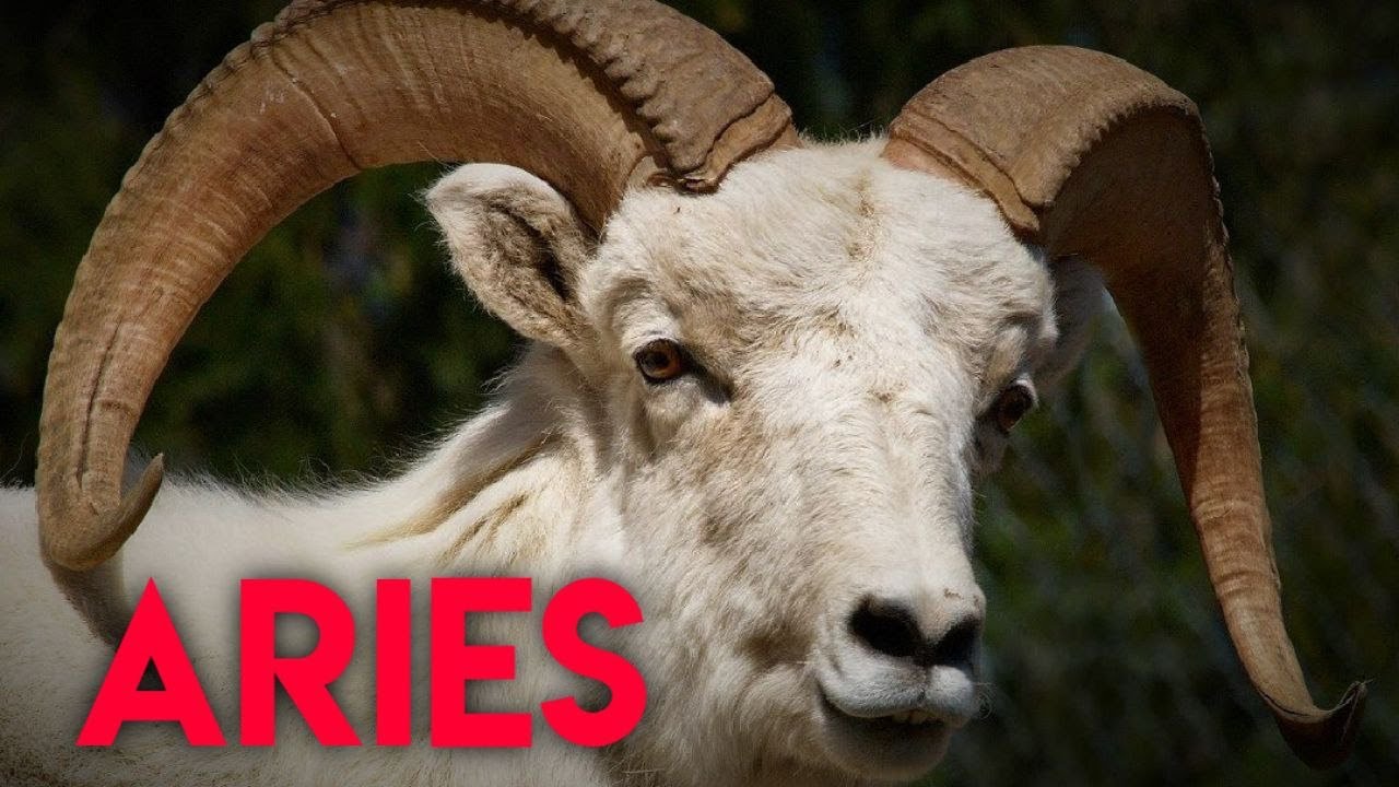 ARIES | Los signos del zodíaco y su carácter - Linda Goodman