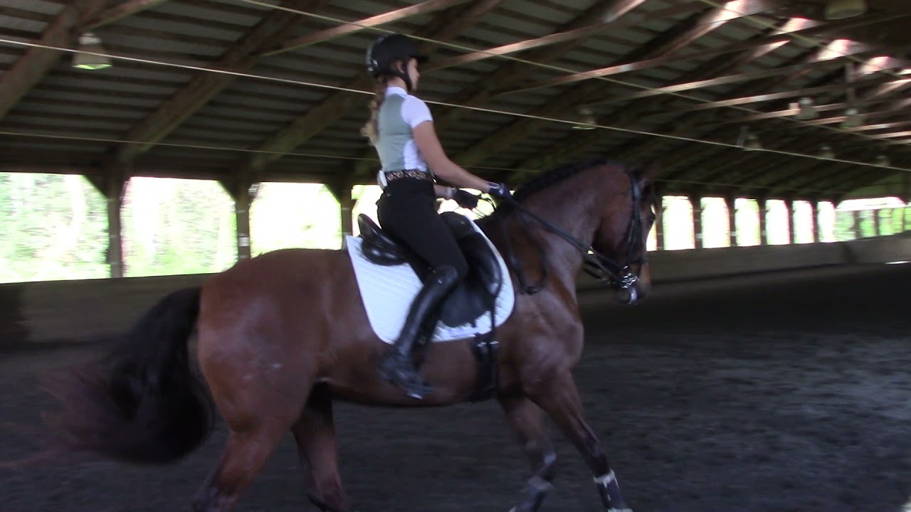 Alhambra Lxxiv Sarah Sharpe Laura Graves Clinic Part 3