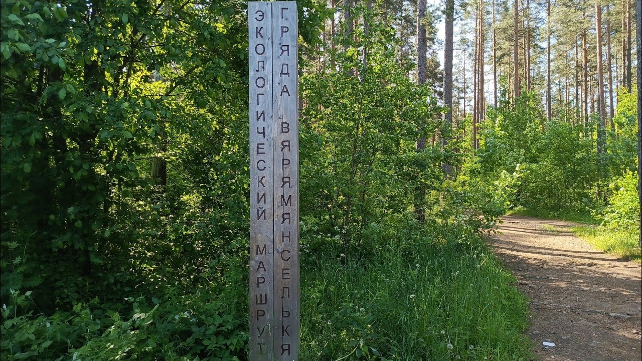 Эко тропа Петяярви  | Серия 1(2)