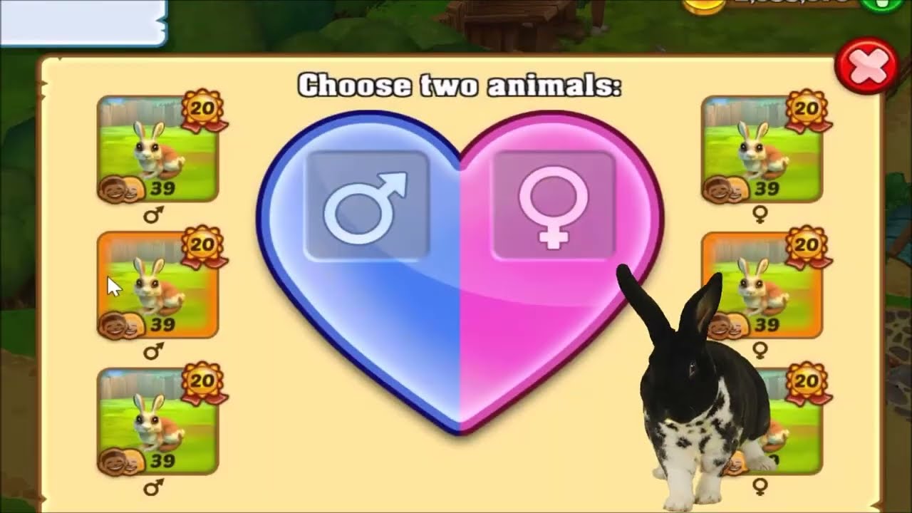 Tip how to breed rabbits daily - Zoo 2 Animal park online