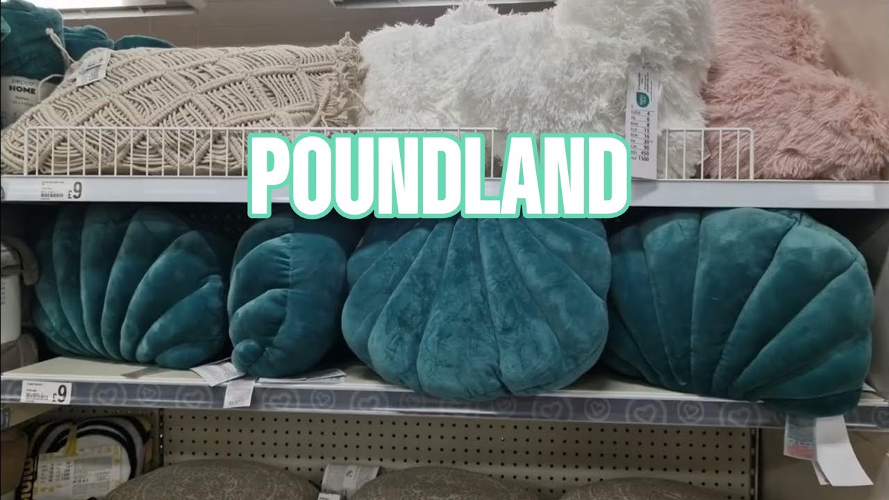 COME SHOP WITH ME AT POUNDLAND NEW IN 
