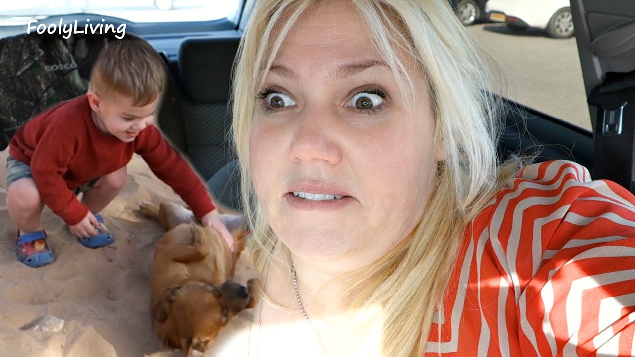 EMBARRASSING SHOPPING TRIP! - February 8, 2015 - FoolyLiving Daily Vlog