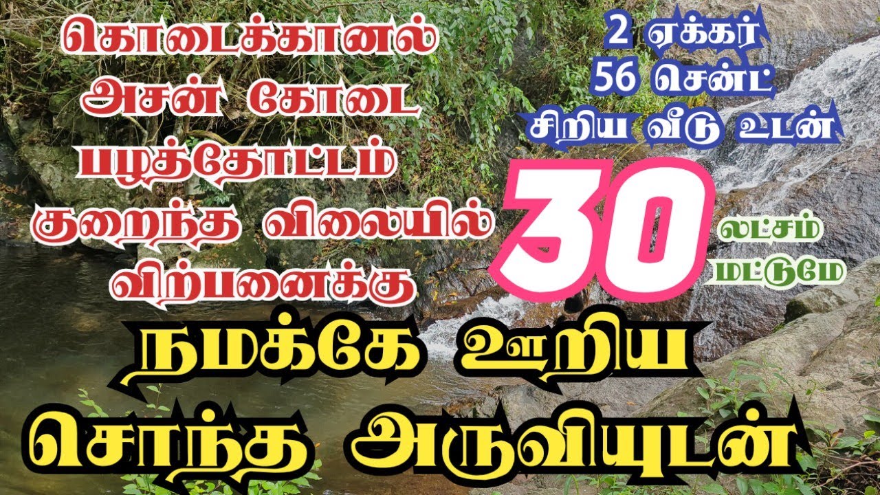 கொடைக்கானல் அசன் கோடை பழத்தோட்டம் குறைந்த விலையில் விற்பனைக்கு#kodaikanal #agricultural #land##