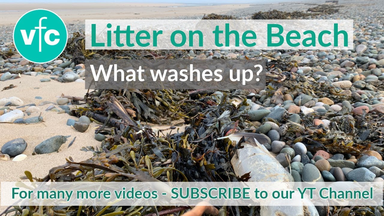 Litter on the Beach - what washes up?