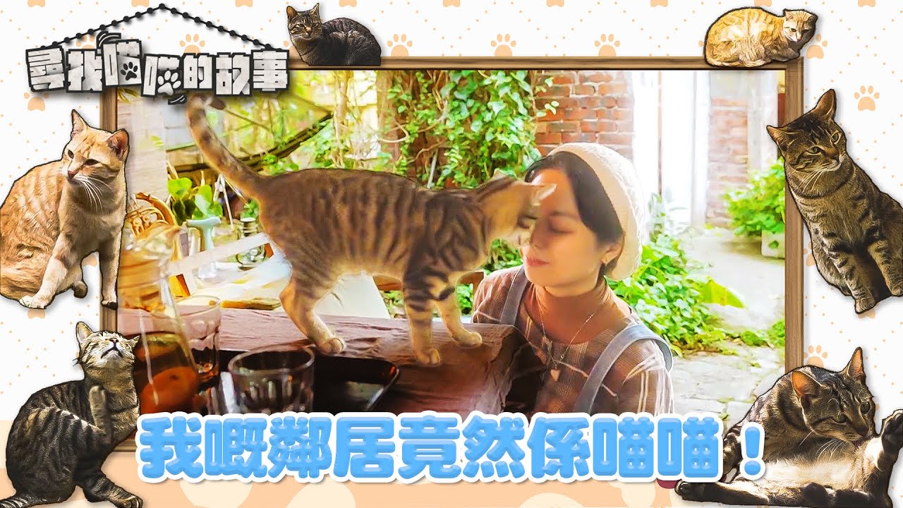 尋找喵喵的故事 ｜EP4 PT2｜ 我嘅鄰居竟然係喵喵！ ｜ HOYTV
