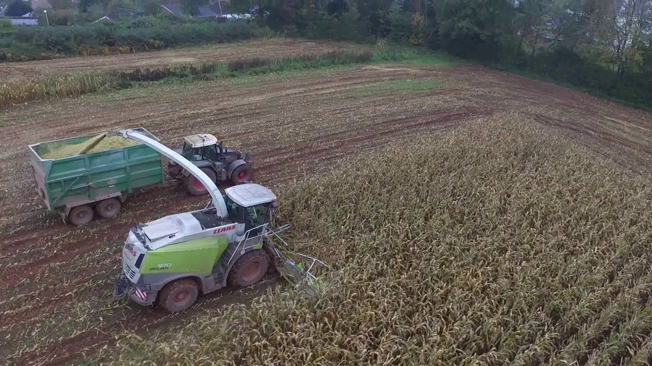 Lifting Maize - With Johnny Clapp