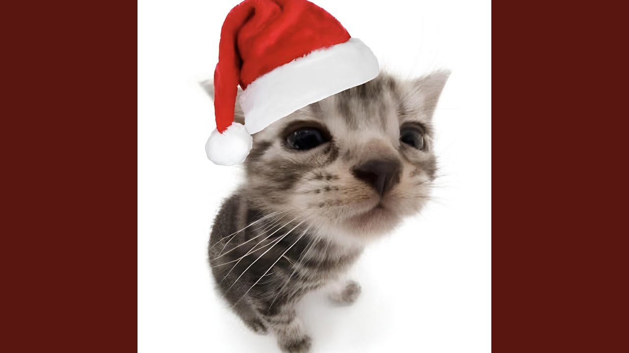 silliest of them all