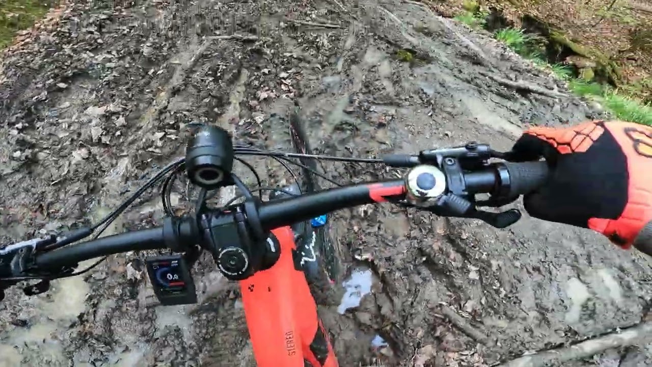 2024 April Sonntagstrails Steigerwald, Schlangenweg #Fox #Steigerwald #MTB #mountainbike