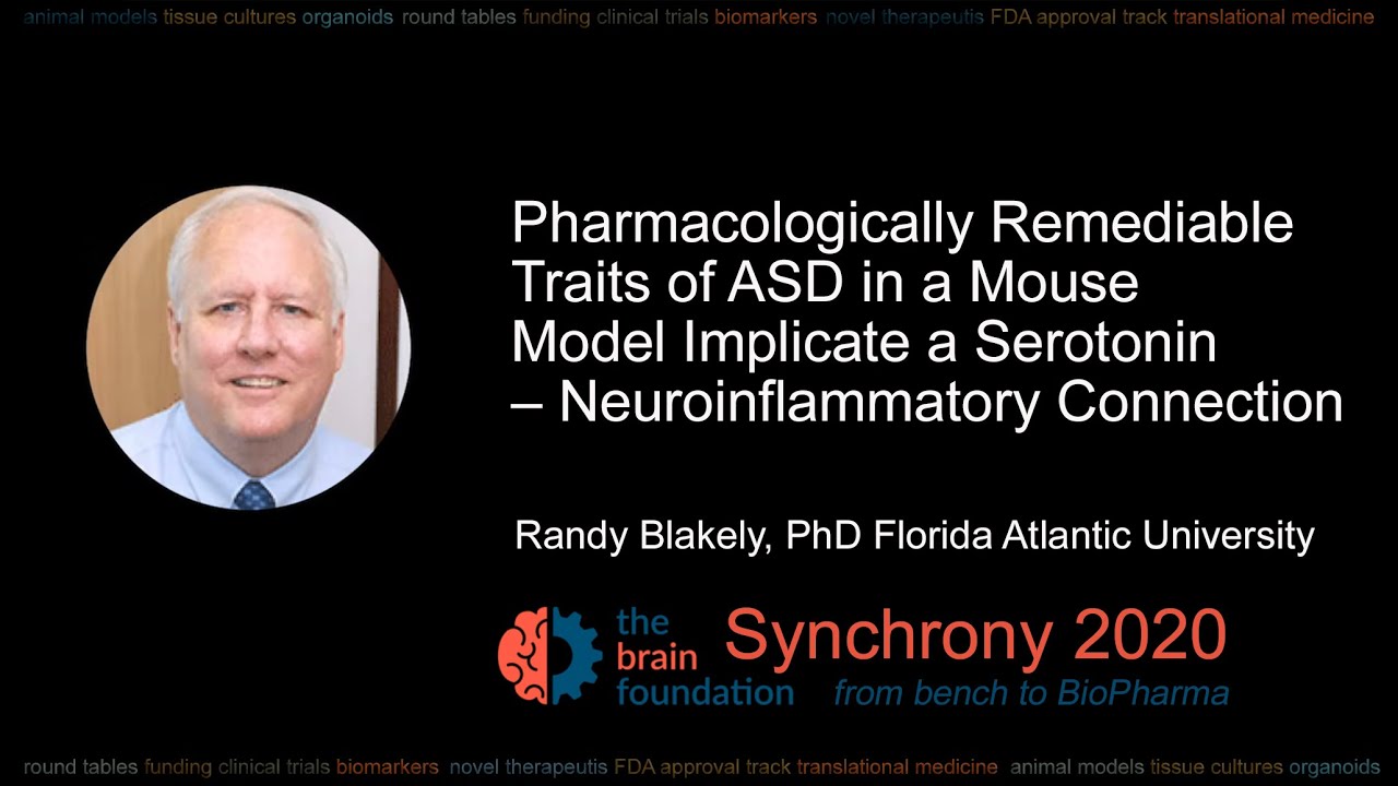 Treatable Traits of Autism Implicate Serotonin–Neuroinflammation – R. Blakely PhD @Synchrony2020