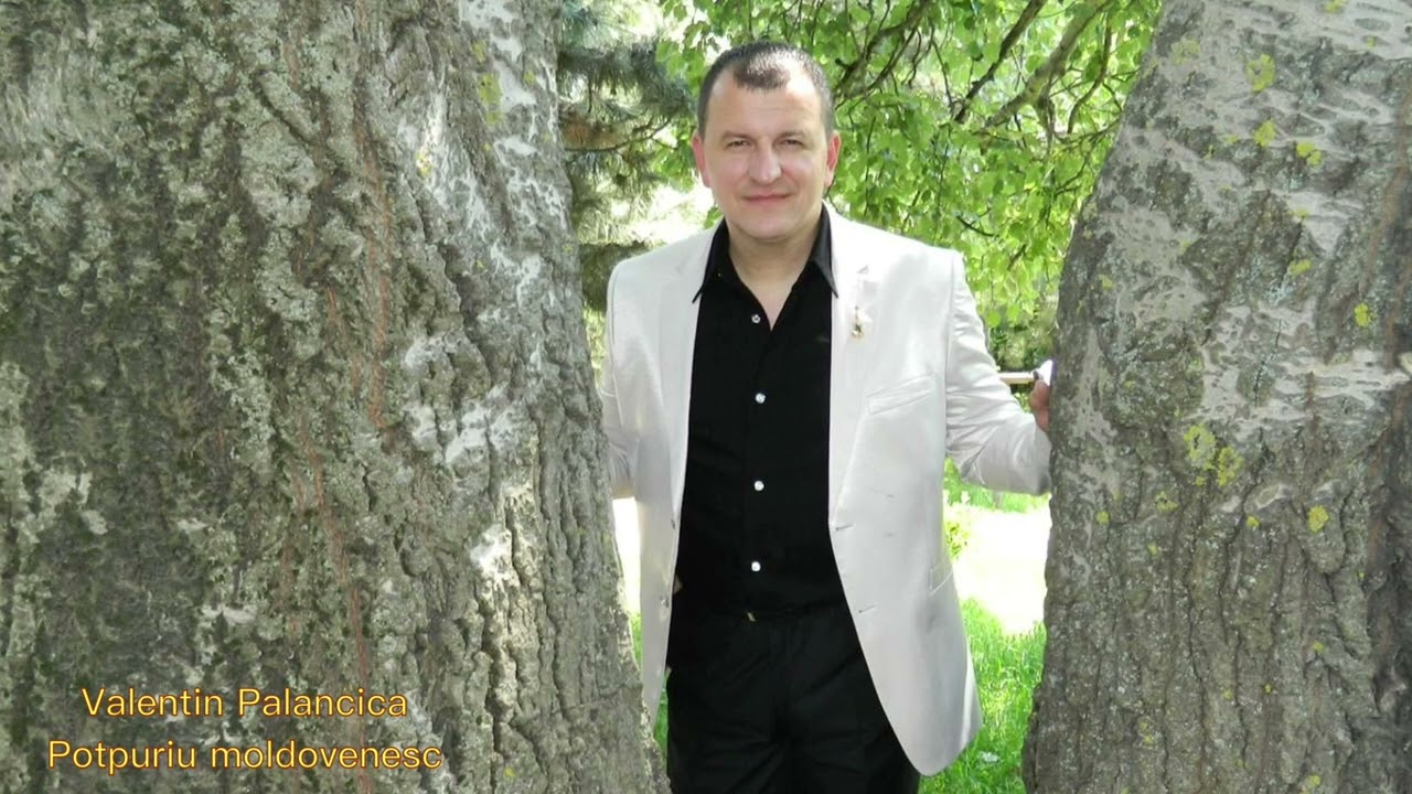 Valentin Palancica Potpuriu moldovenesc (cover)