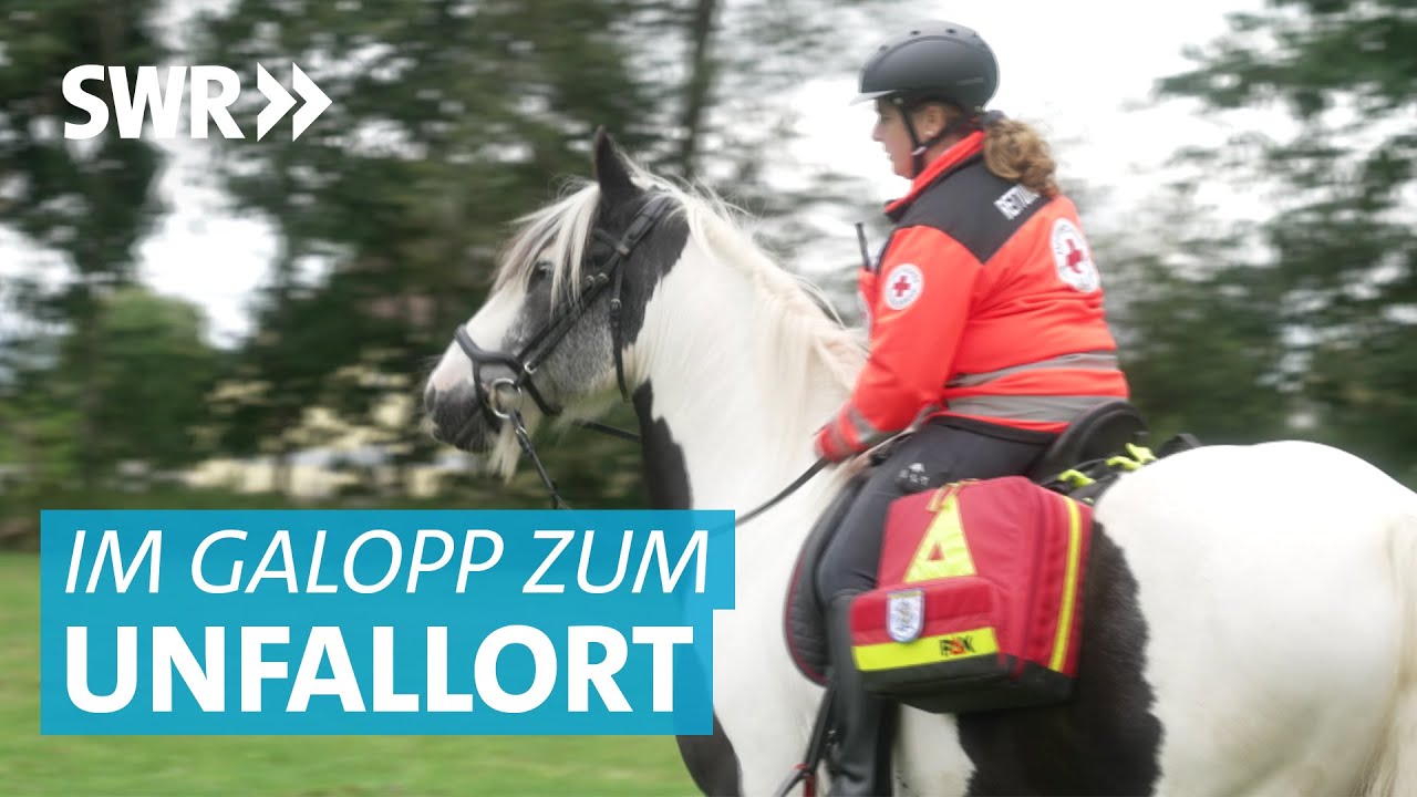 Pferd im Rettungsdienst: Nemo sorgt bei Vierspänner Parcours für Sicherheit