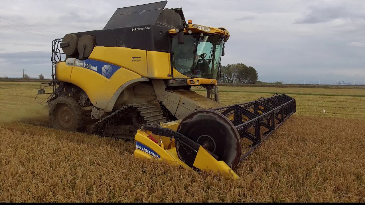 [ MOISSON DU RIZ 2019 EN CAMARGUE ] 2x NH CR9090 & 2x AXION 850