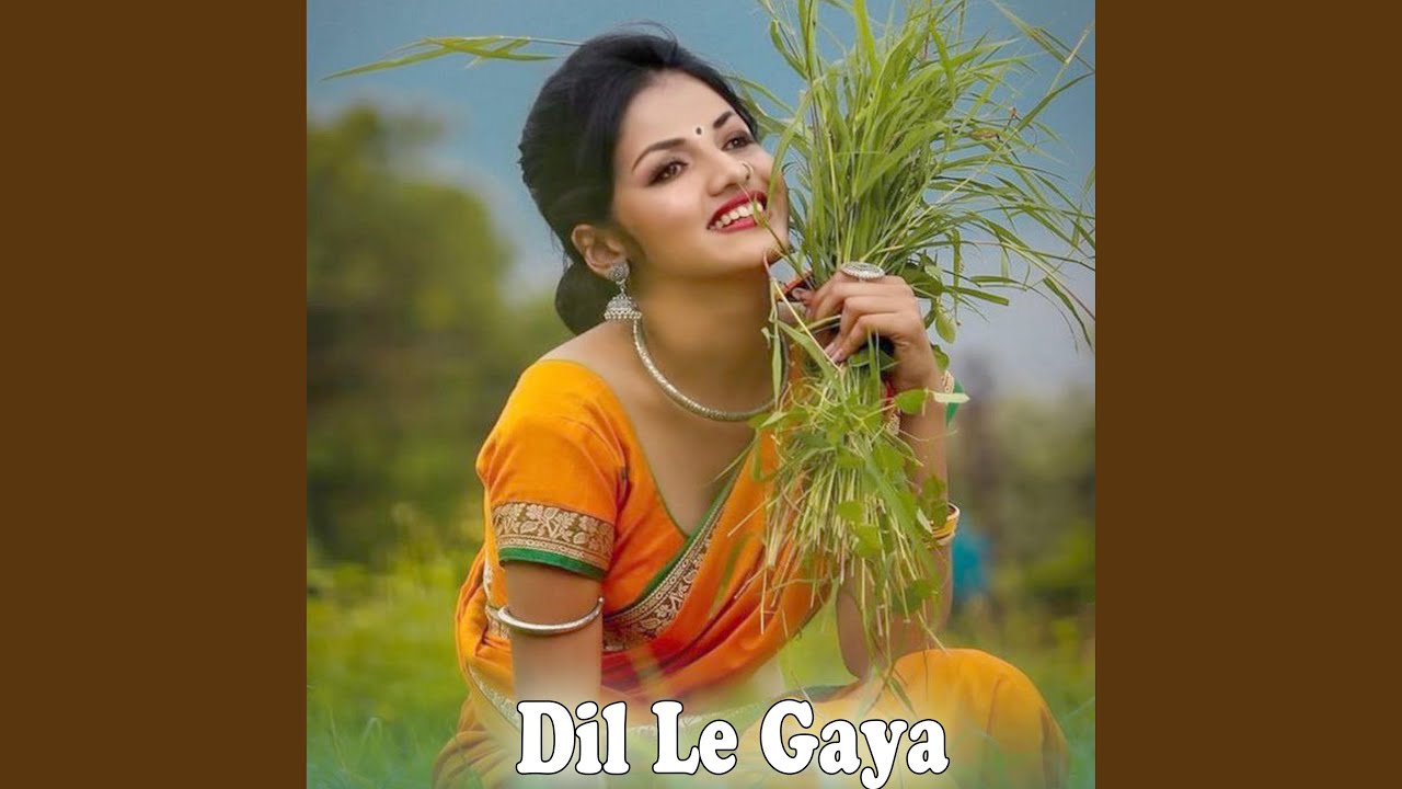 Dil Le Gaya