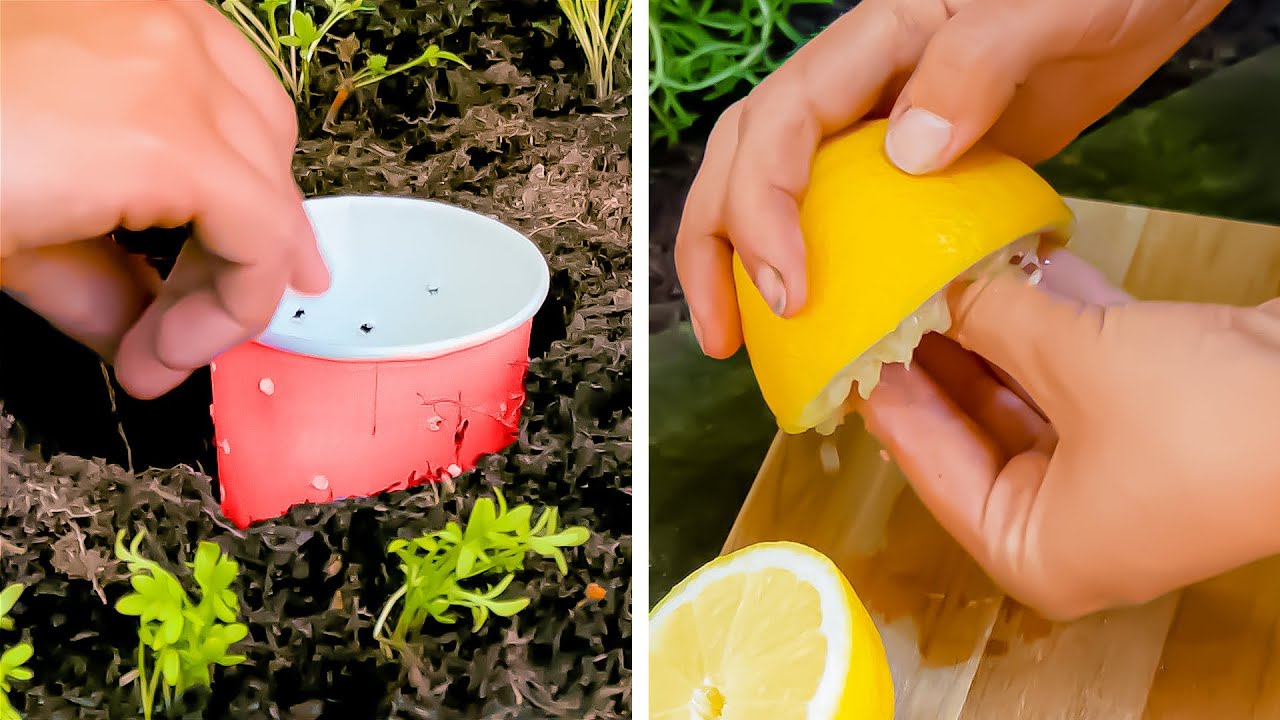 Gartenarbeit, ohne Schwitzen! Mach’s dir leicht – mit diesen 22 Garten Hacks