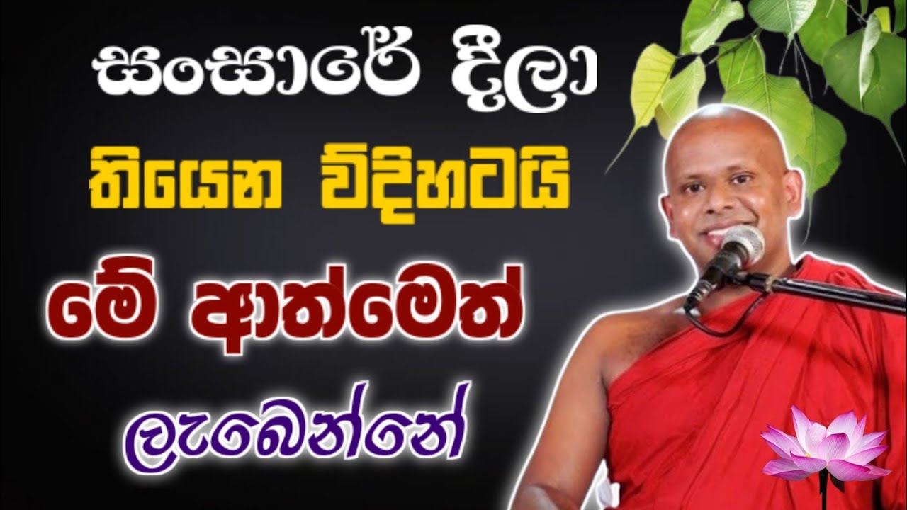 සංසාරේ දීලා තියෙන ව්දිහටයි මේ ආත්මෙත් ලැබෙන්නෙ 🙏 / Walimada saddaseela thero🪷