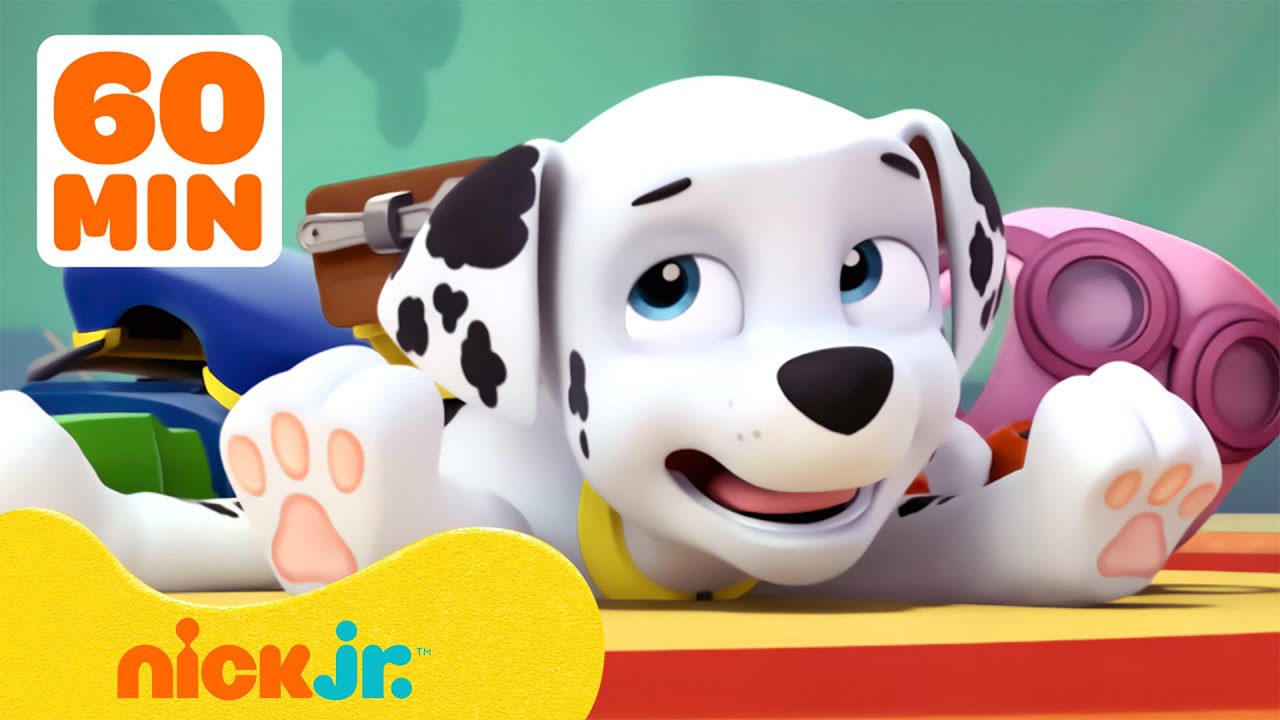 De meest onnozele momenten van Marshall! 🤭 Compilatie van 1 uur | Nick Jr. Nederlands
