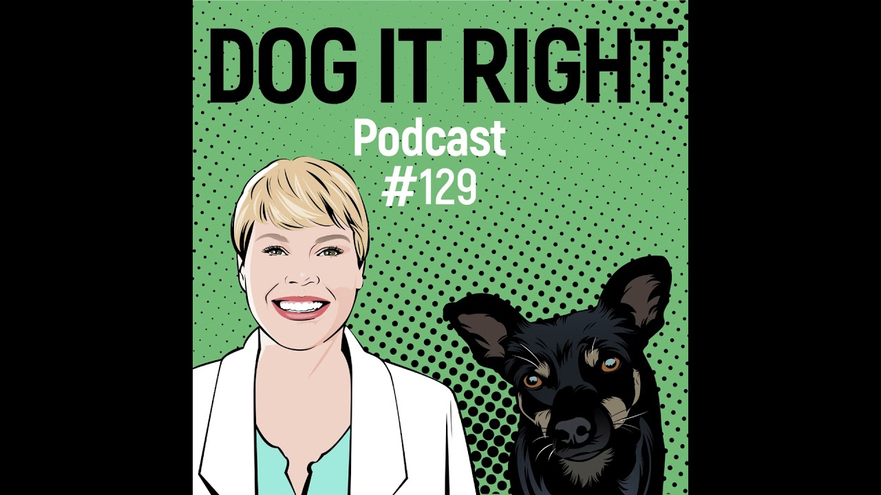 #129: Warum dein Hund dich bei Hundebegegnungen ignoriert