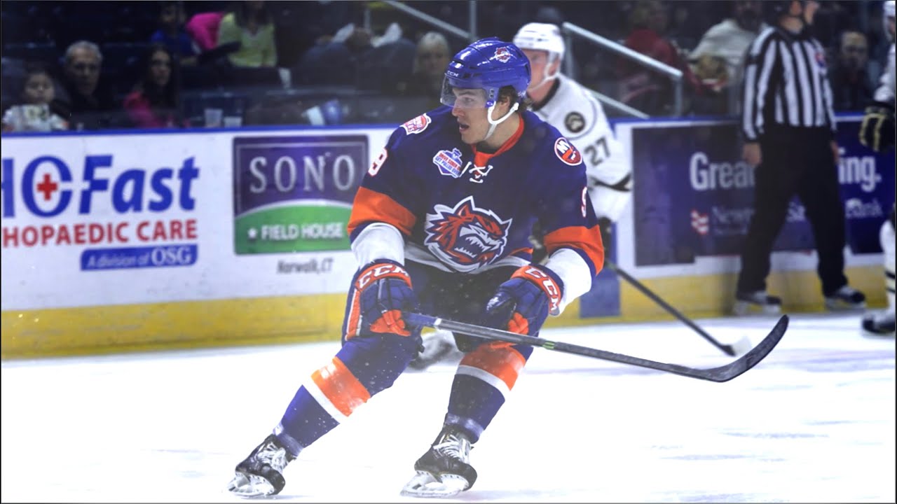 New York Islanders Bridgeport Roots
