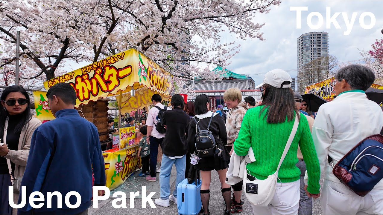 Ueno Cherry Blossoms: Top Sakura Spot - Tokyo Walk [4k]