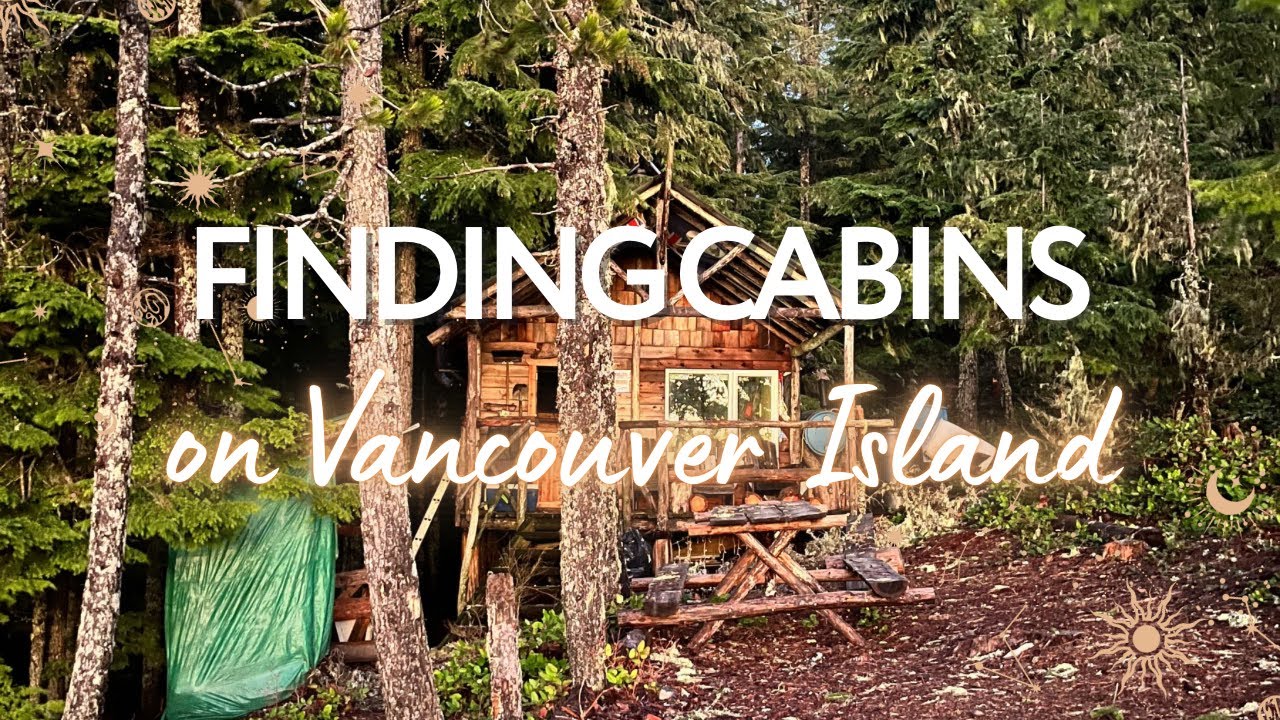 Cabin Hunting on Vancouver Island: We Found THREE! 🌲🏠🥾