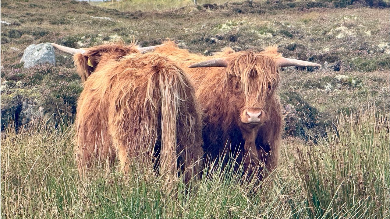 Road trip Outer Hebrides 2025