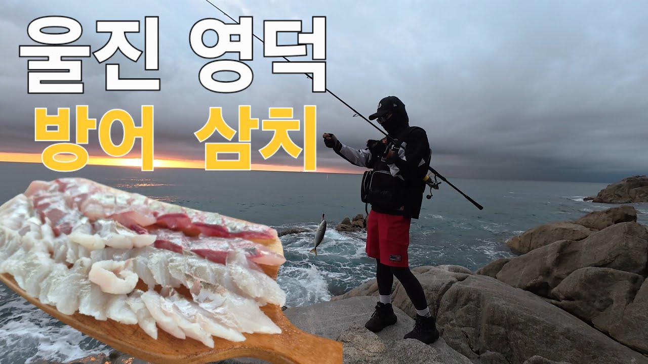 9월4일 동해바다 난리났다!!🤩 삼치,방어가 점령했습니다!! 잡아서 즉석회까지?! #fishing #루어낚시 #낚시 #갯바위낚시 #바다 #울진낚시 #영덕낚시 #삼치낚시 #서프루어