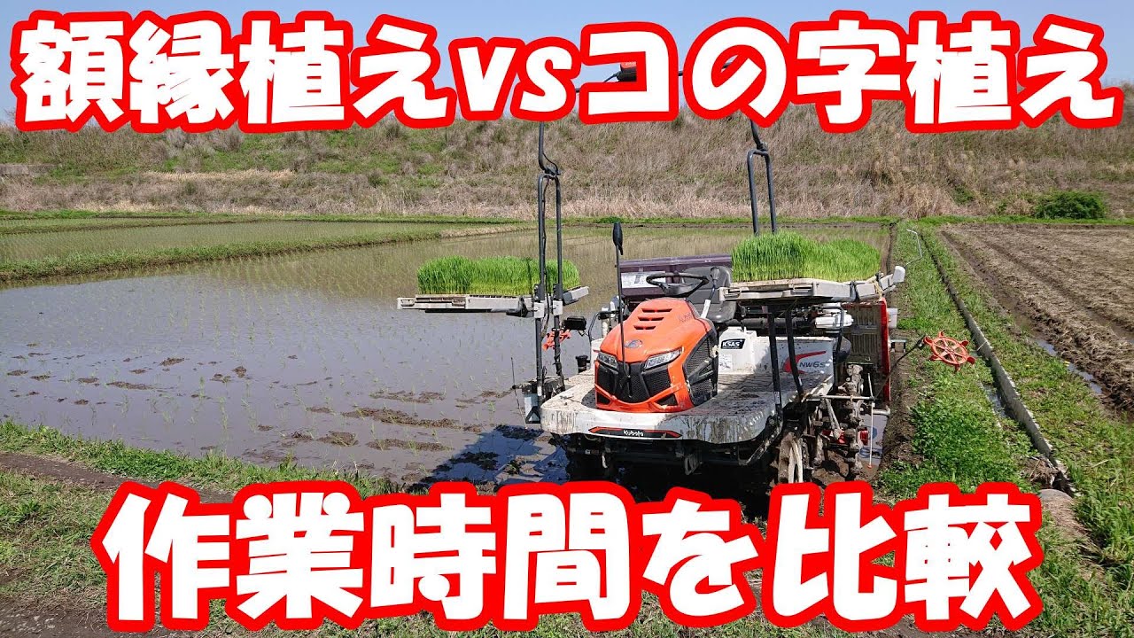 最速の植え方とは？同条件でコの字型と額縁(外1周)の移植時間を比較しました。