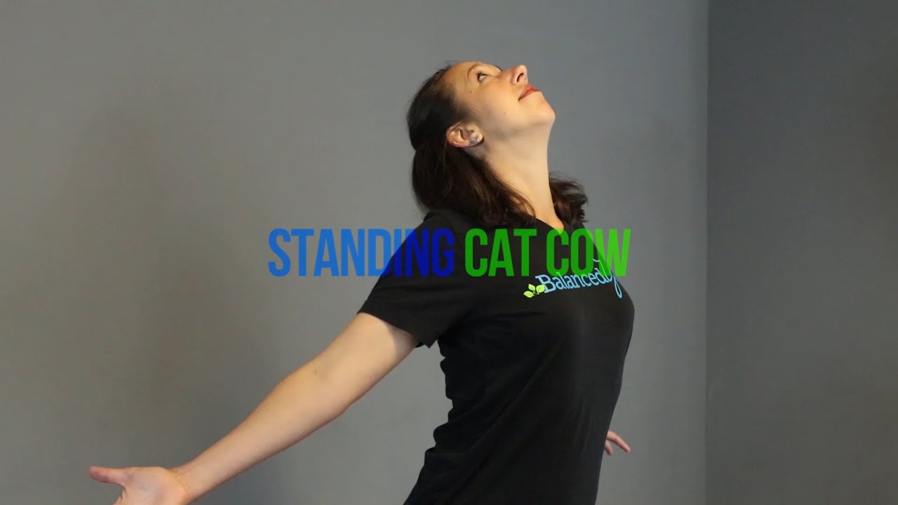 Mobility at Home :: Standing Cat Cow Stretch