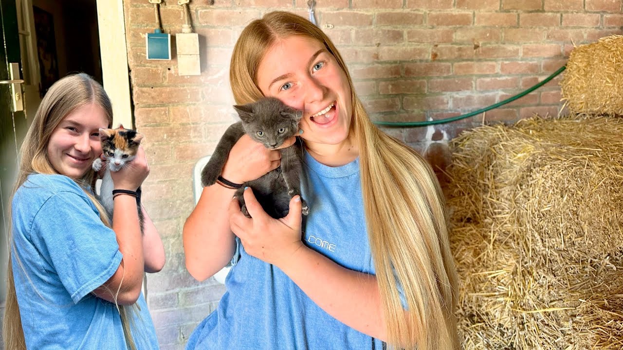 2 NIEUWE KITTENS OPHALEN, DIT IS TE LIEF!😻 -178