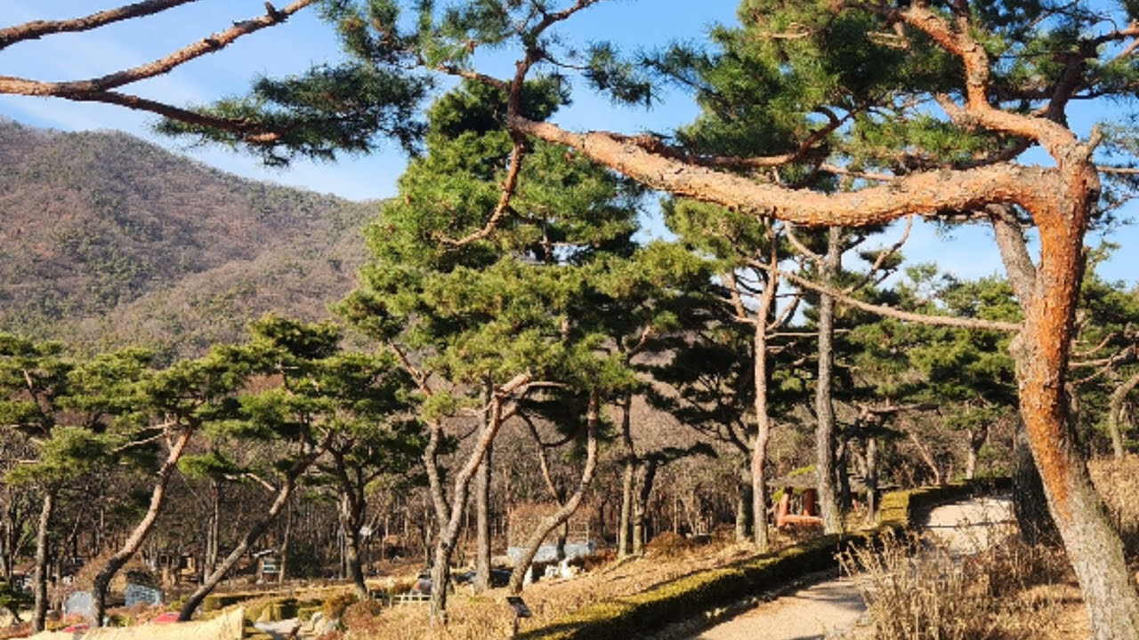 사람의 본질  #선악나무  #소유