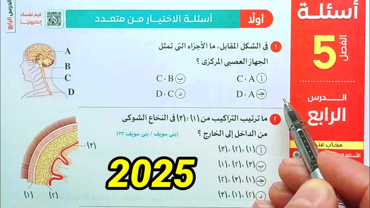 حل أسئلة الجهاز العصبي المركزي احياء ثانية ثانوى الترم الثاني 2025