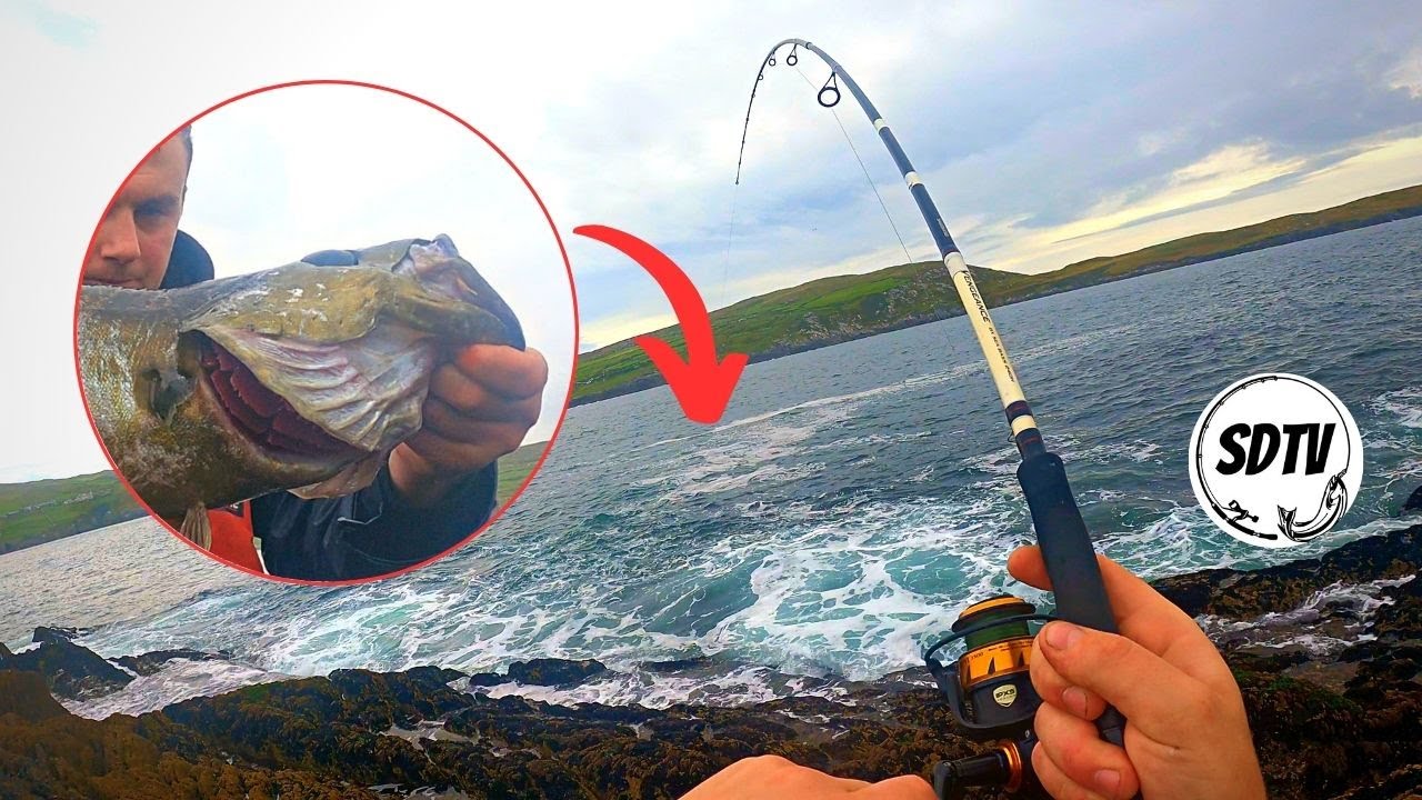Monster Fish BENT MY HOOK! Epic Sea Fishing In Ireland