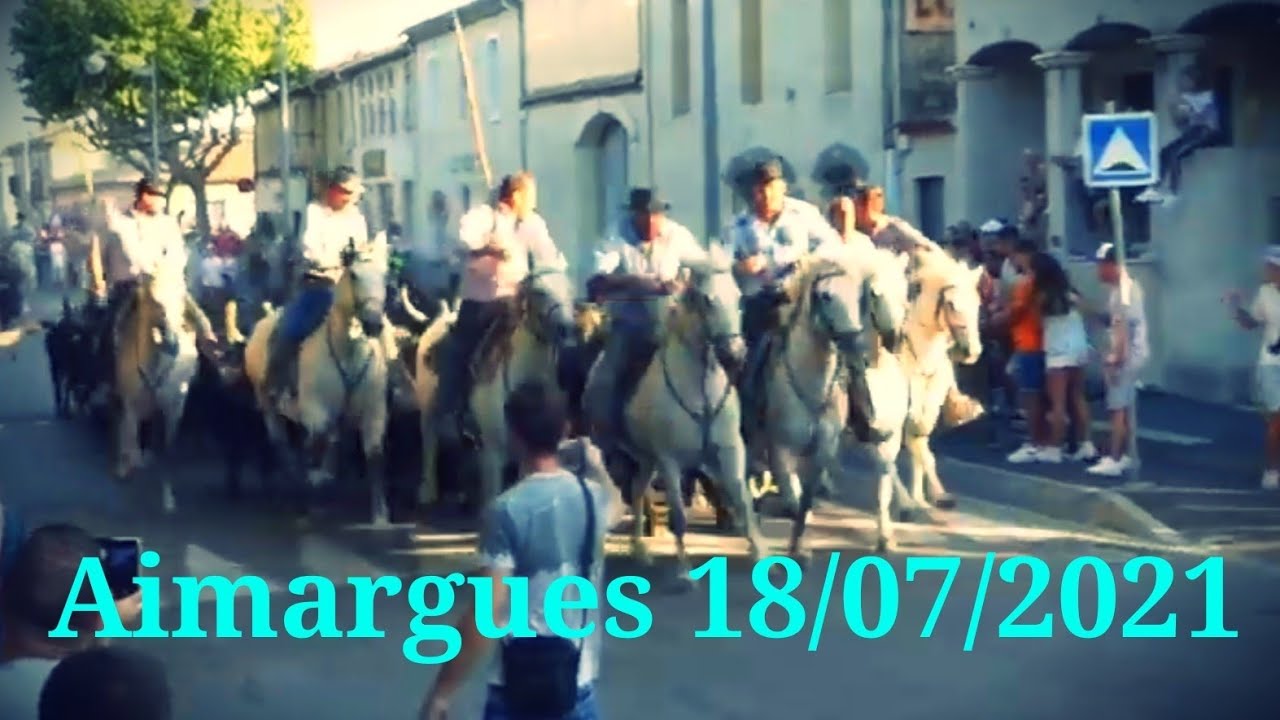 Aimargues 18/07/2021 40 Taureaux