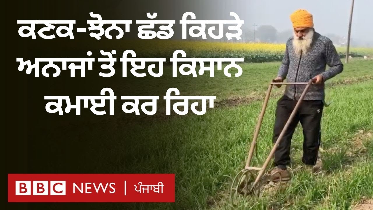 Gurdaspur ਦਾ ਇਹ ਕਿਸਾਨ ਕਣਕ-ਝੋਨੇ ਦੀ ਰਵਾਇਤੀ ਖੇਤੀ ਛੱਡ Millets ਦੀ ਖੇਤੀ ਨਾਲ ਕਿਵੇਂ ਮੁਨਾਫ਼ਾ ਕਮਾ ਰਿਹਾ
