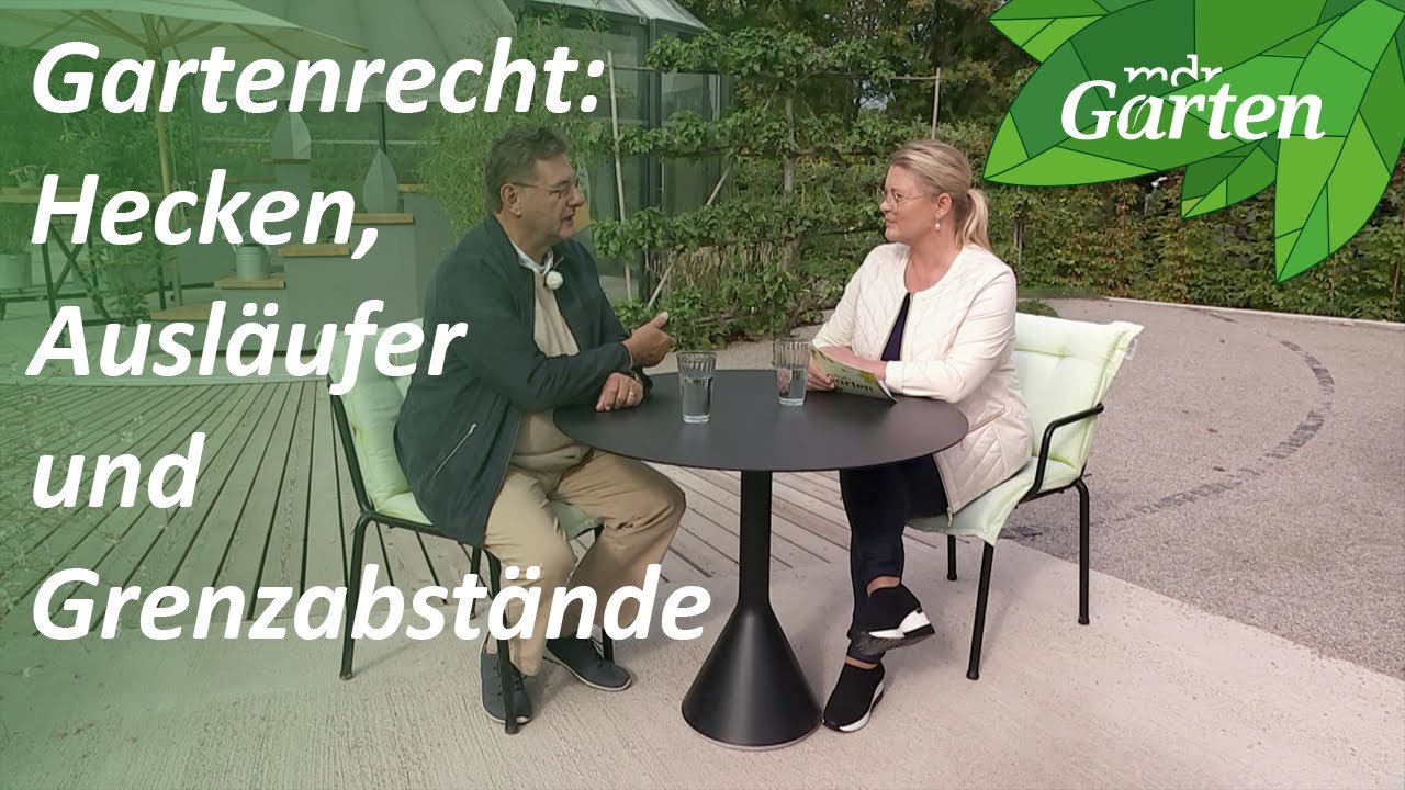 Antworten auf Rechtsfragen im Garten: Hecken, Ausläufer, Grenzabstände | MDR Garten