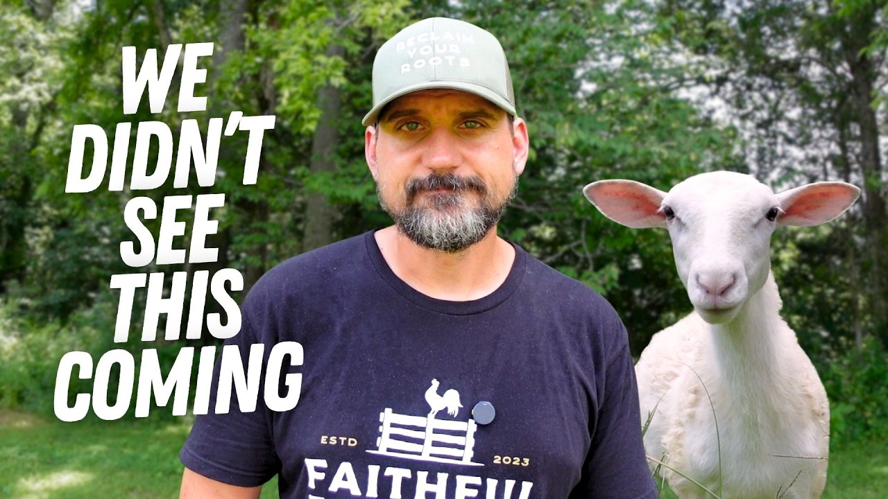 Raising Sheep Seemed Easy… Until This Happened