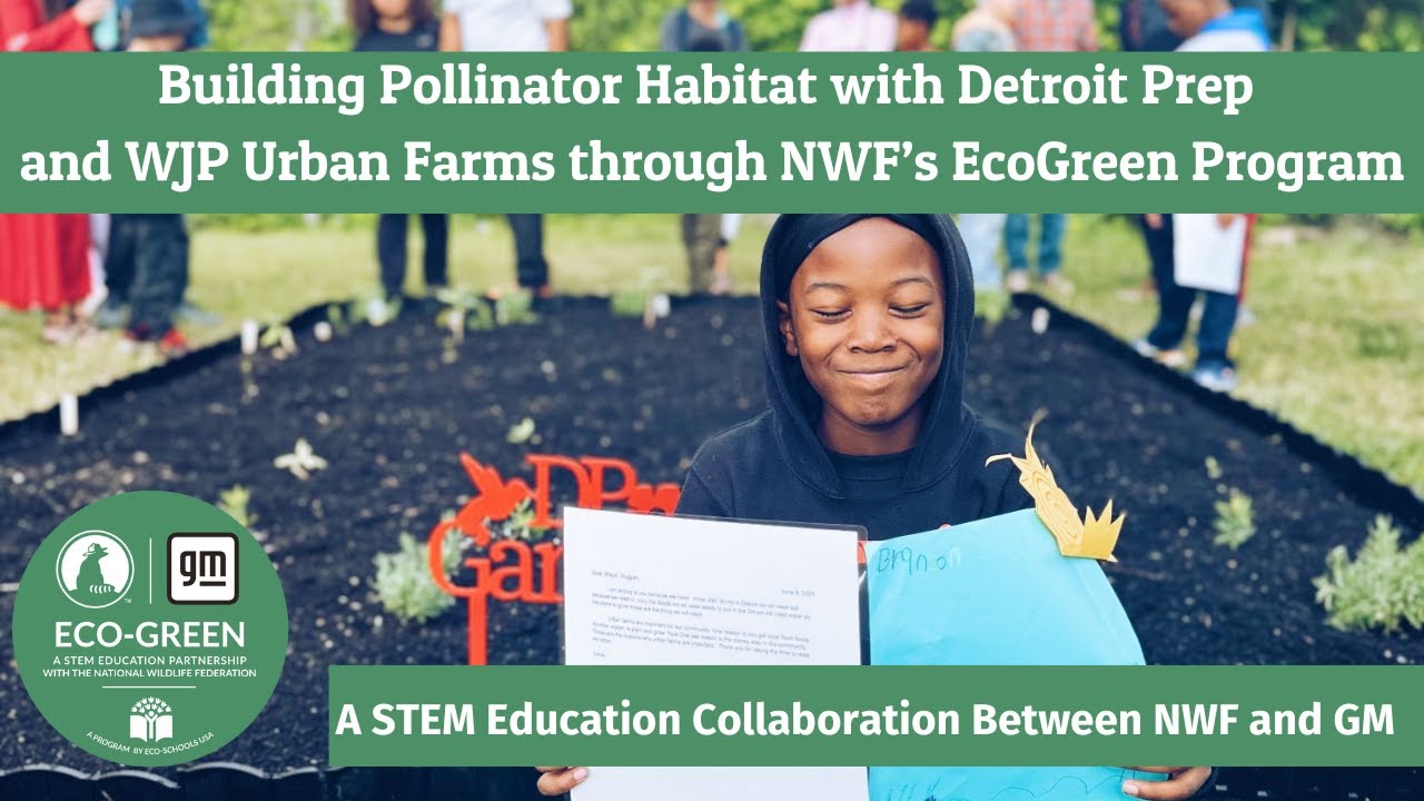 Building Pollinator Habitat with Detroit Prep and WJP Urban Farms through NWF’s EcoGreen Program