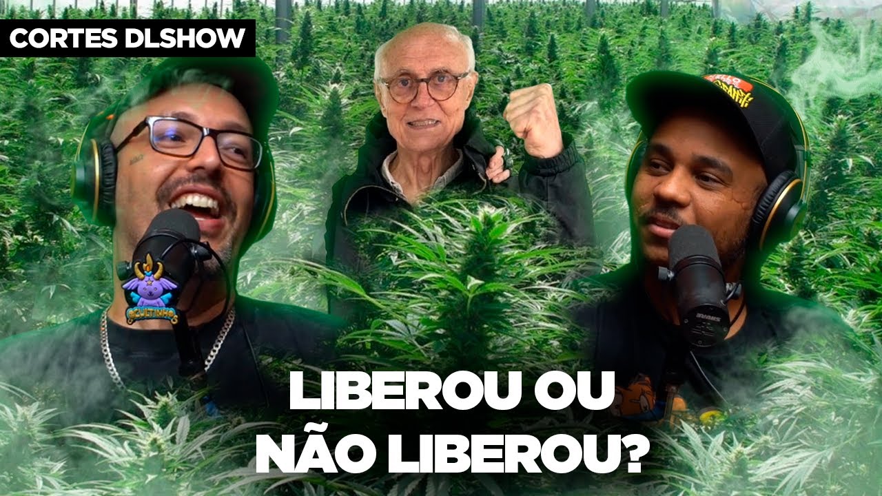 O QUE VOCÊ PRECISA SABER SOBRE A LIBERAÇÃO DA MACONHA PELA ANVISA
