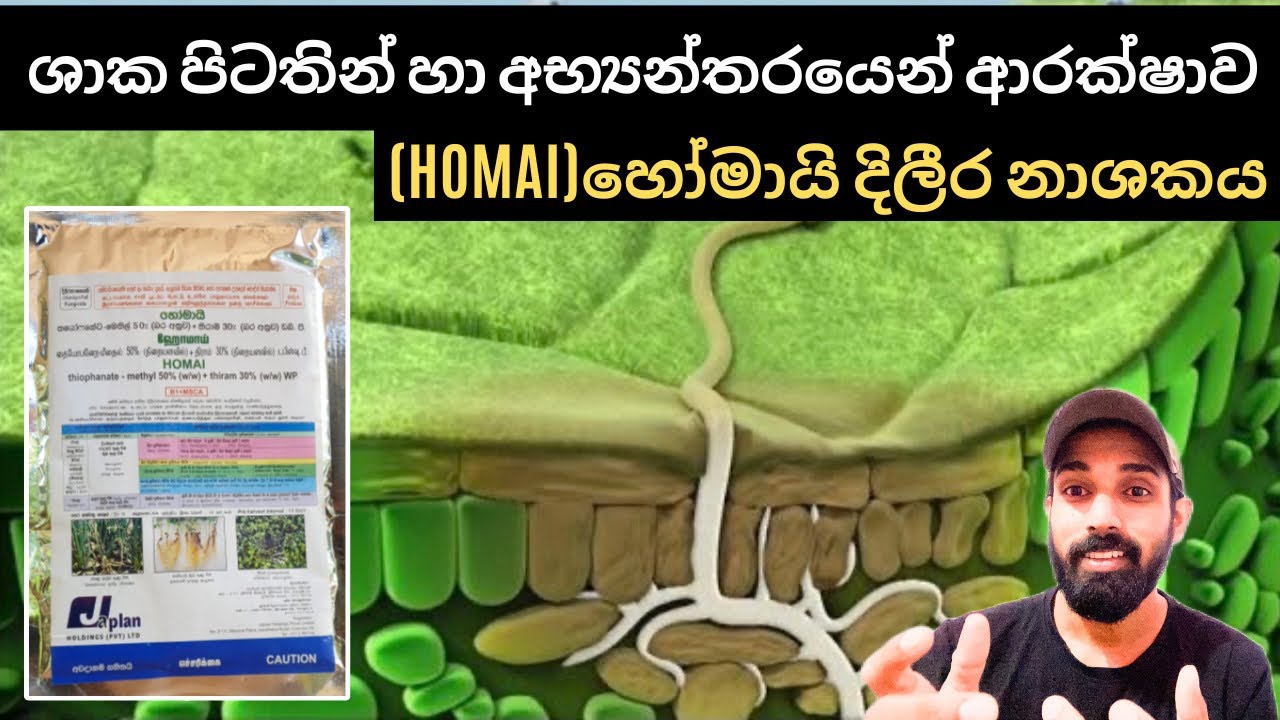 ශාක මුල් ආශ්‍රිතව ඇතිවන දිලීර රෝග වෙනුවෙන්ම නිෂ්පාදනය කර ඇති සංස්ථානික දිලීර නාශකය(HOMAI),හෝමායි.
