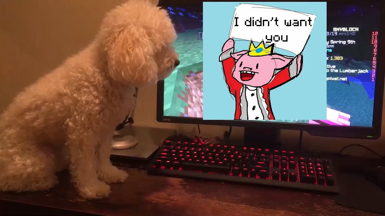 Technoblade влюбляется в Floof.
