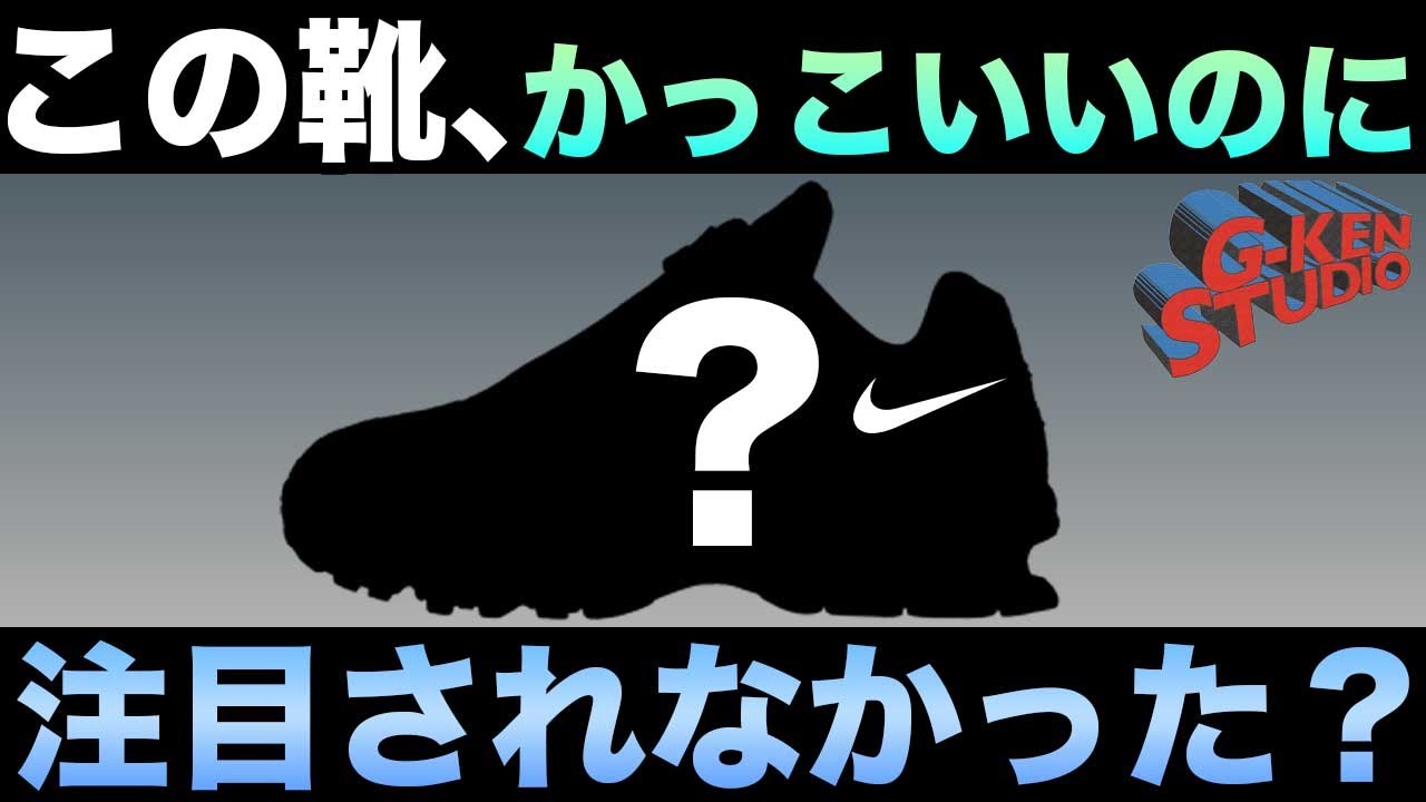 【ナイキ スニーカー】この靴誰も触れてなかったよね？