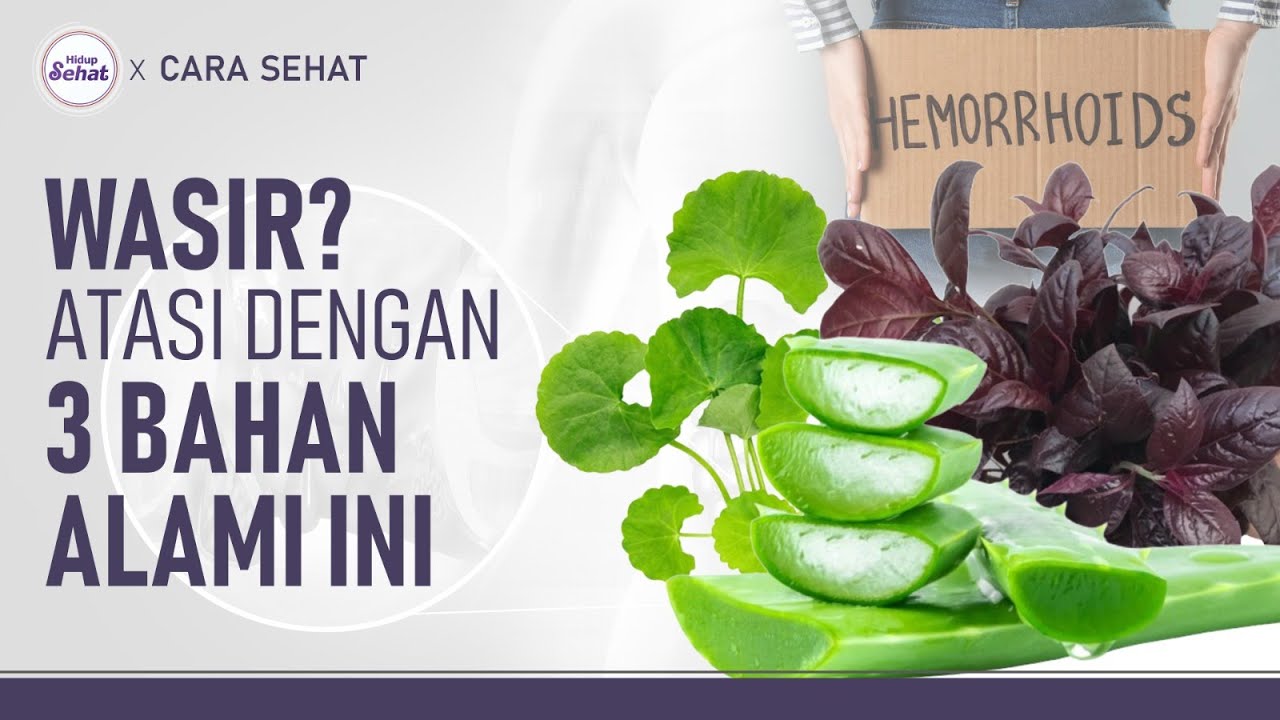 3 Obat Wasir Alami yang Mudah Dibuat Di Rumah | Hidup Sehat tvOne