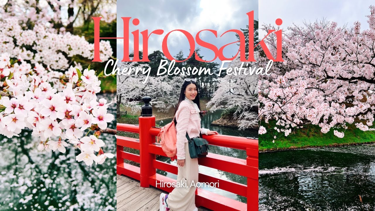 เที่ยวญี่ปุ่น Tohoku Aomori Hirosaki Cherry Blossom Festival จุดชมซากุระที่สวยที่สุดในญี่ปุ่น