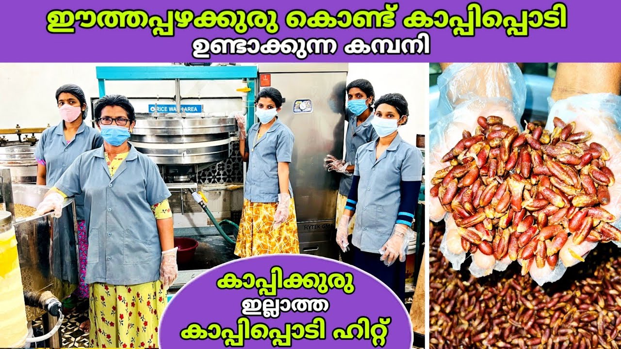ഈത്തപ്പഴക്കുരു കൊണ്ട് കാപ്പിപ്പൊടി ഉണ്ടാക്കുന്ന കമ്പനി വൻ ഹിറ്റ്‌😍 | date seed coffee | fz rover