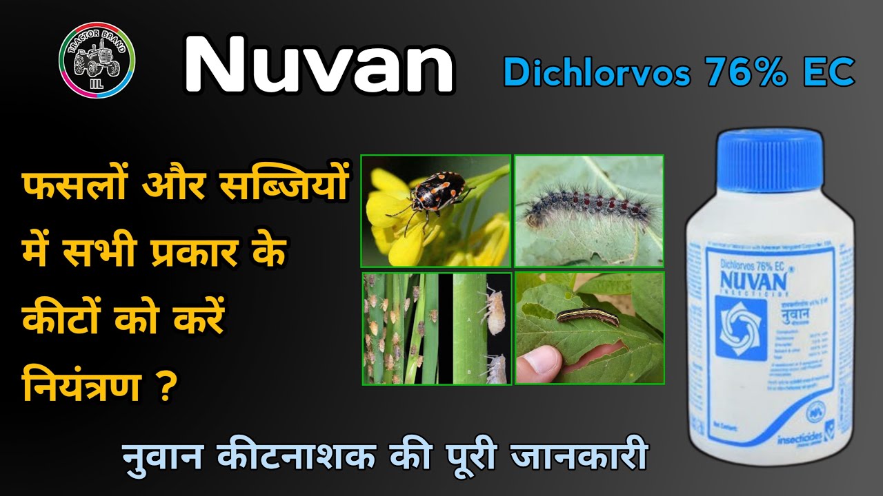 Nuvan Insecticide | Dichlorvos 76% EC| सभी प्रकार के कीटों के लिए| Insects Control in all crops DDVP