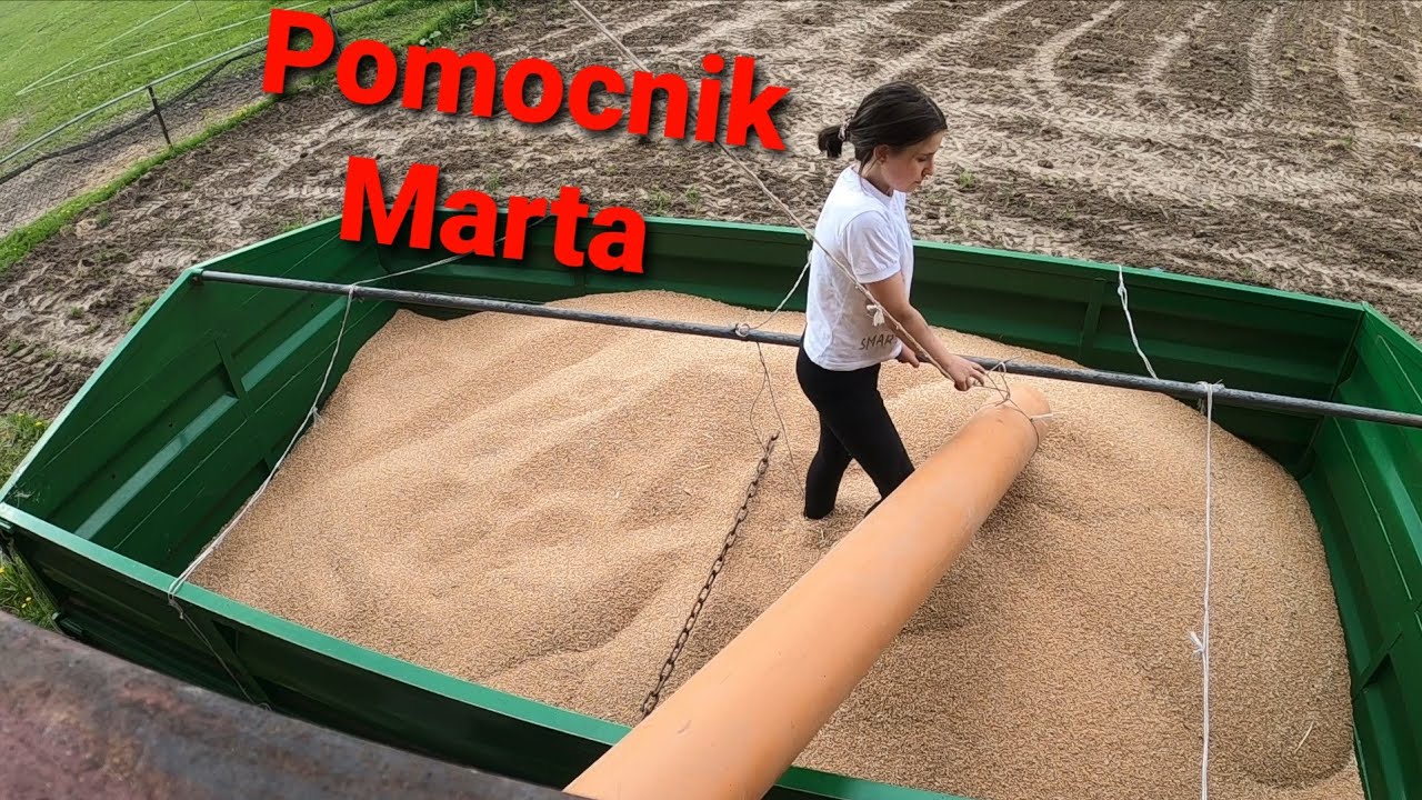 🌟 Załadunek pszenicy z Martą 🌟