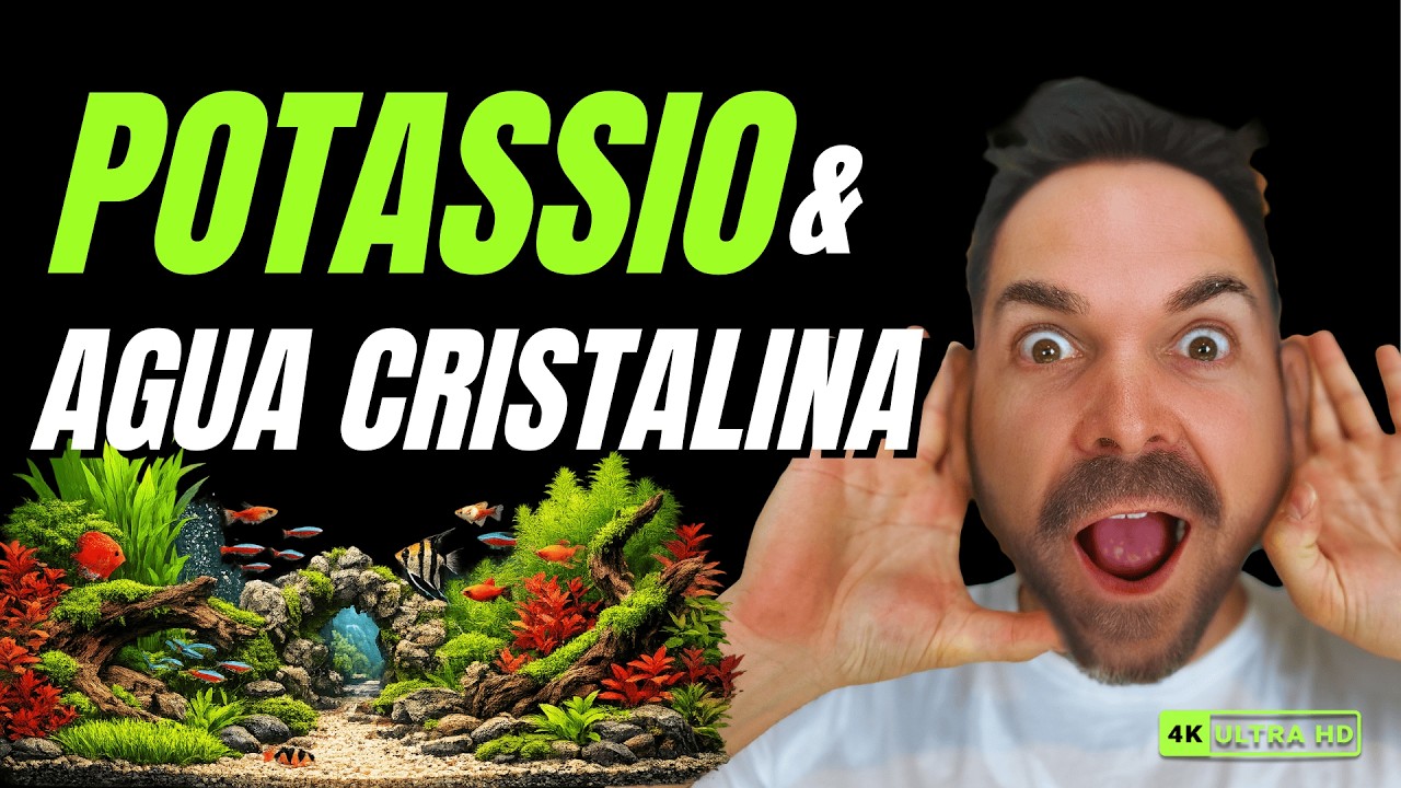 🔥 ¡POTASIO + AGUA CRISTALINA!
