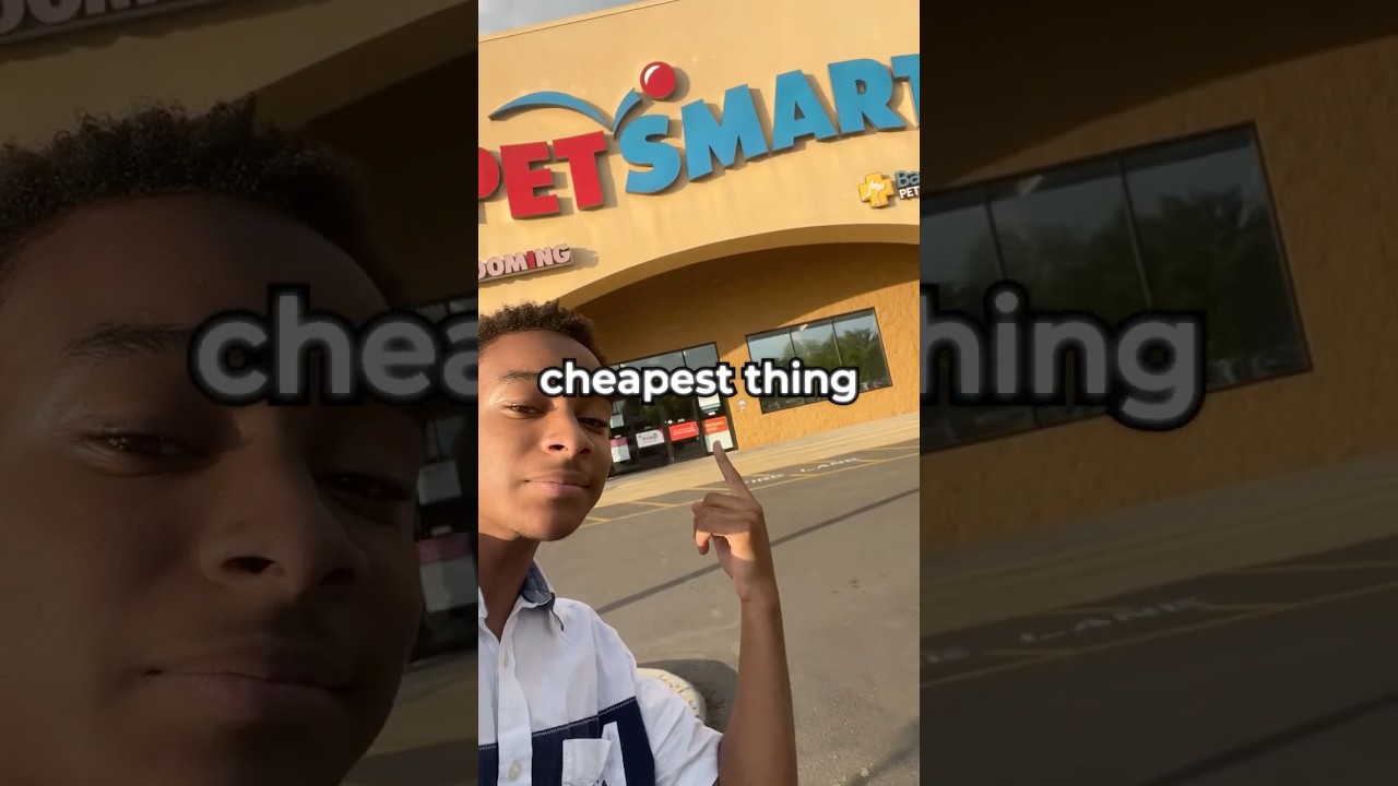 Какой самый дешевый товар в зоомагазине?