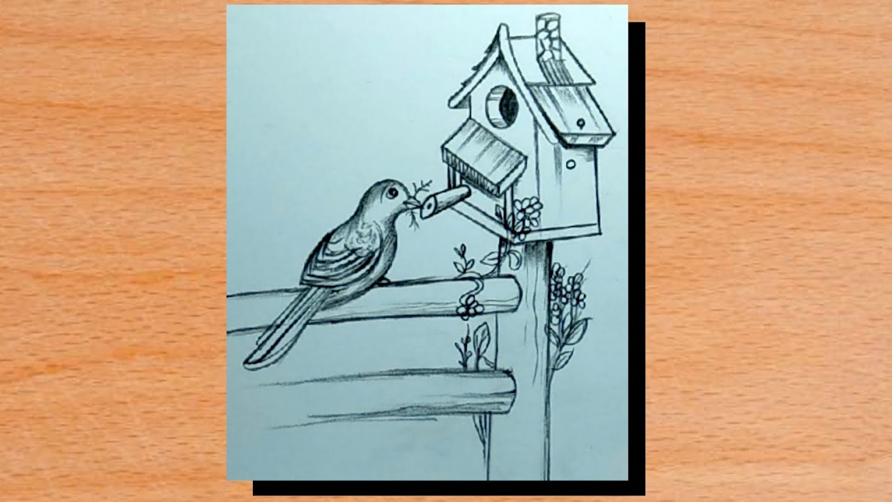 Bird House Drawing In Pencils For Beginners Easy